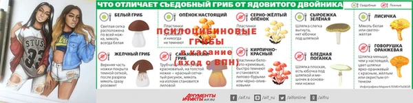 прущие крисы Абинск