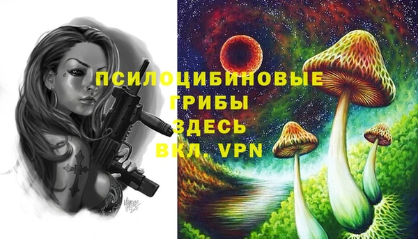a pvp Абаза