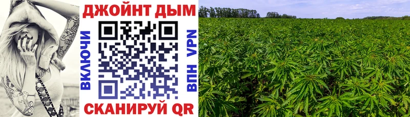 Конопля Bruce Banner  Остров 